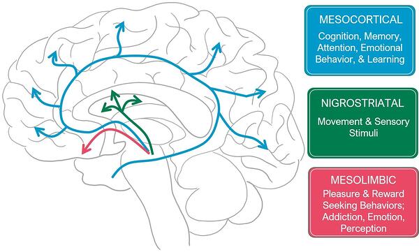 Figure1